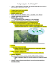 Ecology study guide - H - Madison County Schools