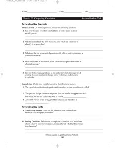 Reviewing Key Concepts Reviewing Key Skills Chapter 33