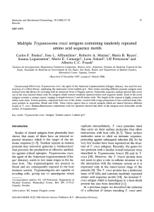 Multiple Trypanosoma cruzi antigens containing tandemly repeated