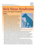 Sick Sinus Syndrome - Milliken Animal Clinic