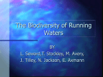 The biodiversity of Running Waters