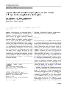 Organic solutes in Rubrobacter xylanophilus: the first