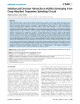 Imbalanced Decision Hierarchy in Addicts Emerging from Drug