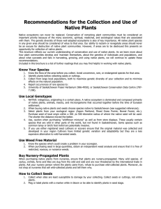 Recommendations for the Collection and Use of Native Plants