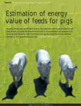Estimation of energy value of feeds for pigs, FEED MIX, 2004