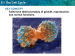 5.3 Regulation of the Cell Cycle