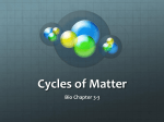 Cycles of Matter - MsHollandScience