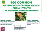 100 Common Arthropods Part 7 Diptera through