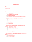 Respiratory Quiz 2 Name MULTIPLE CHOICE ______1. Which of