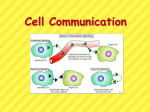 Cell Communication PowerPoint