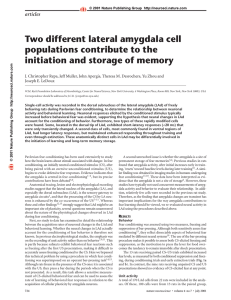Two different lateral amygdala cell populations contribute to the