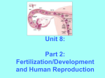 Part 2-PP File - shscience.net