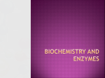 Biochemistry and Enzymes - St. John the Baptist Diocesan High