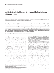 Multiplicative Gain Changes Are Induced by Excitation or Inhibition