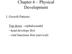 Chapter 6 - Physical Development