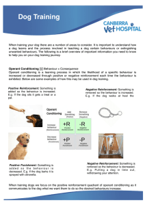 Dog Training Basics (1)