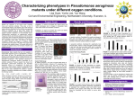 Poster - Research Experiences for Undergraduates