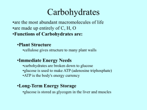 Long-Term Energy Storage