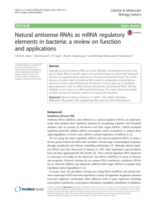 Natural antisense RNAs as mRNA regulatory elements in bacteria: a