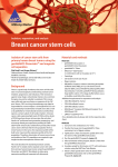 Breast cancer stem cells