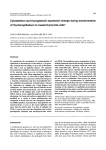 Cytoskeleton and thyroglobulin expression change during