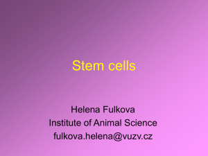 Stem cells