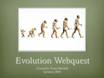 Evolution Webquest