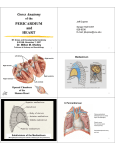 PERICARDIUM and HEART Gross Anatomy - eCurriculum