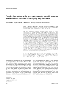 Complex interactions on fig trees: ants capturing parasitic wasps as