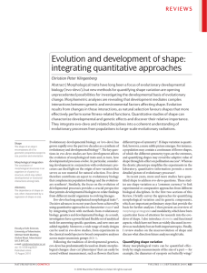 Evolution and development of shape: integrating