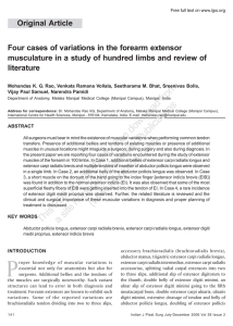 Four cases of variations in the forearm extensor musculature in a