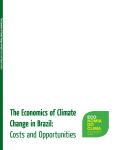 The Economics of Climate Change in Brazil: Costs and