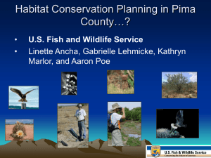 Habitat Conservation Planning in Pima County…?