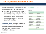 24.9 Synthesis of Amino Acids