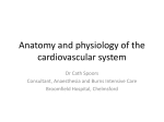 Anatomy and physiology of the cardiovascular system
