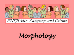8_340-Morphology - Kimberly Martin, Ph.D.