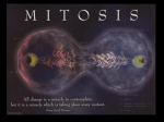 Mitosis PowerPoint for Student Notes