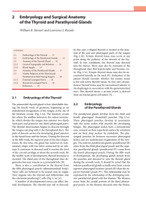 2 Embryology and Surgical Anatomy of the Thyroid and Parathyroid