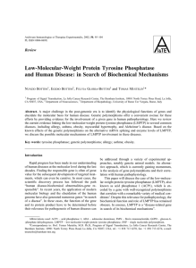 Low-Molecular-Weight Protein Tyrosine Phosphatase and Human
