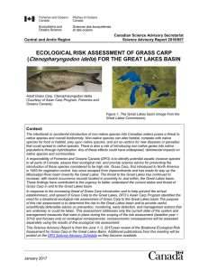 Ecological Risk Assessment of Grass Carp (Ctenopharyngodon
