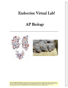 Endocrine Virtual Lab! AP Biology