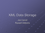 XML Data Storage