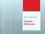 Organic Molecules