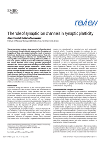 The role of synaptic ion channels in synaptic