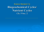 Biogeochemical Cycles