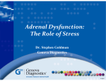 Adrenal The Role of Stress