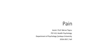 Pain - PSY411
