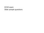 Slide exam sample questions_PPT