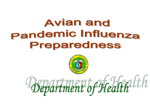 What is Avian Influenza?