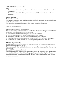 UNIT 1 LESSON 4 Specialised cells